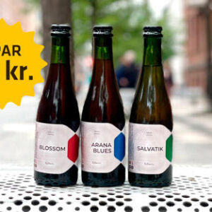 Wild Ale bundle - 3 fantastiske øl fra Attik