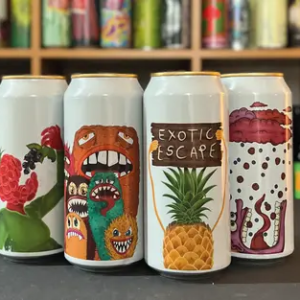 Fruited Sour Bundle fra Fermenterarna